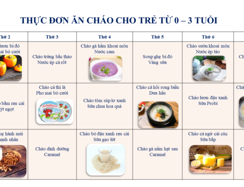 Thực đơn ăn cháo cho trẻ từ 0 – 3 tuổi