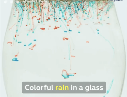 STEAM SCIENCE: “Cơn mưa màu sắc”