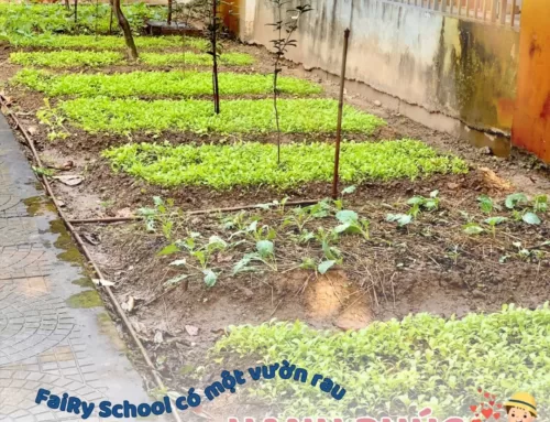 Vườn rau HẠNH PHÚC tại FaiRy School