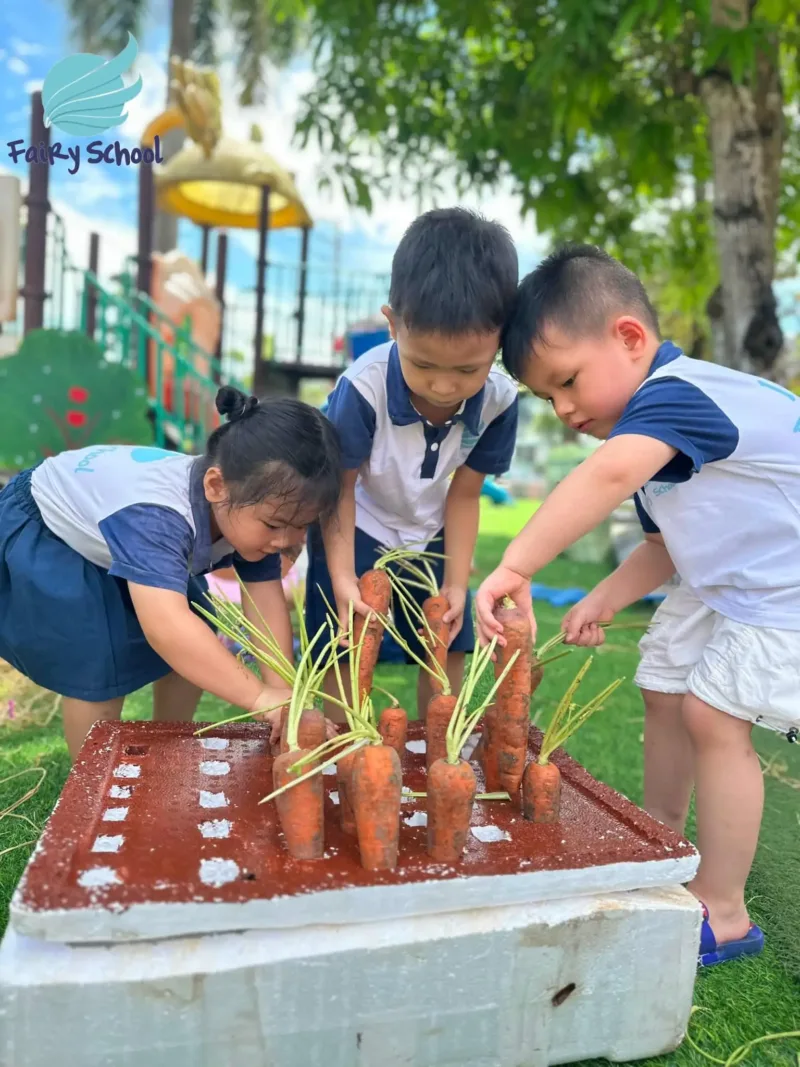 Trải Nghiệm Trại Hè Bán Trú 2024: Các Bé Hóa Thân Thành "Bác Nông Dân Nhí" Tại Fairy School