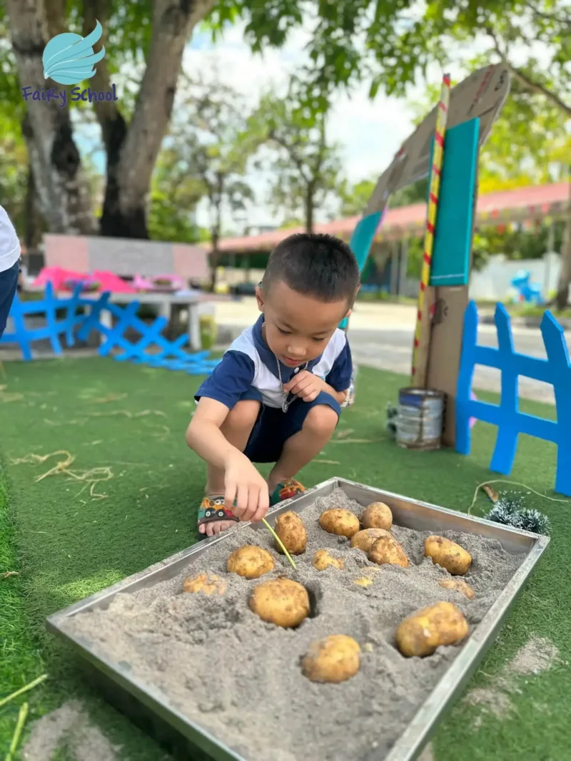 Trải Nghiệm Trại Hè Bán Trú 2024: Các Bé Hóa Thân Thành "Bác Nông Dân Nhí" Tại Fairy School