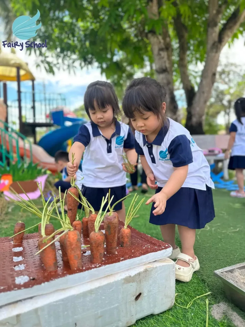 Trải Nghiệm Trại Hè Bán Trú 2024: Các Bé Hóa Thân Thành "Bác Nông Dân Nhí" Tại Fairy School