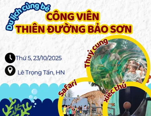 Chuyến phiêu lưu tại Thiên đường Bảo Sơn cùng các nhà lữ hành nhí 3T Edu Đại Mỗ